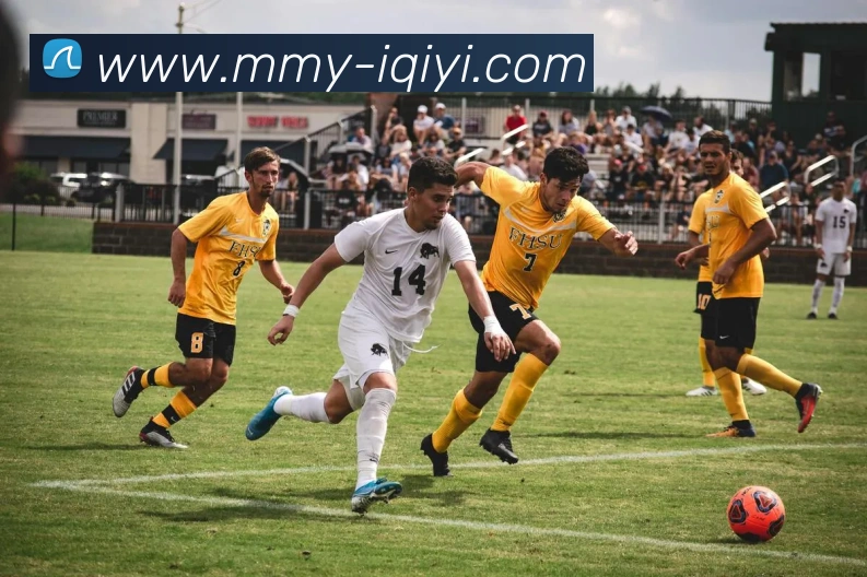 App Interface Preview